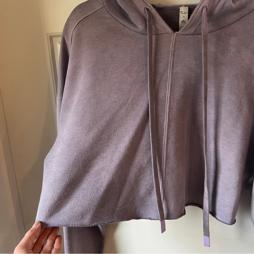 ALO Yoga Cropped Hoodie - Picture 8 of 10